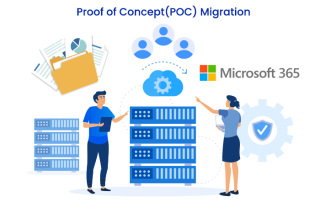 What Can Businesses Expect in a POC Migration?